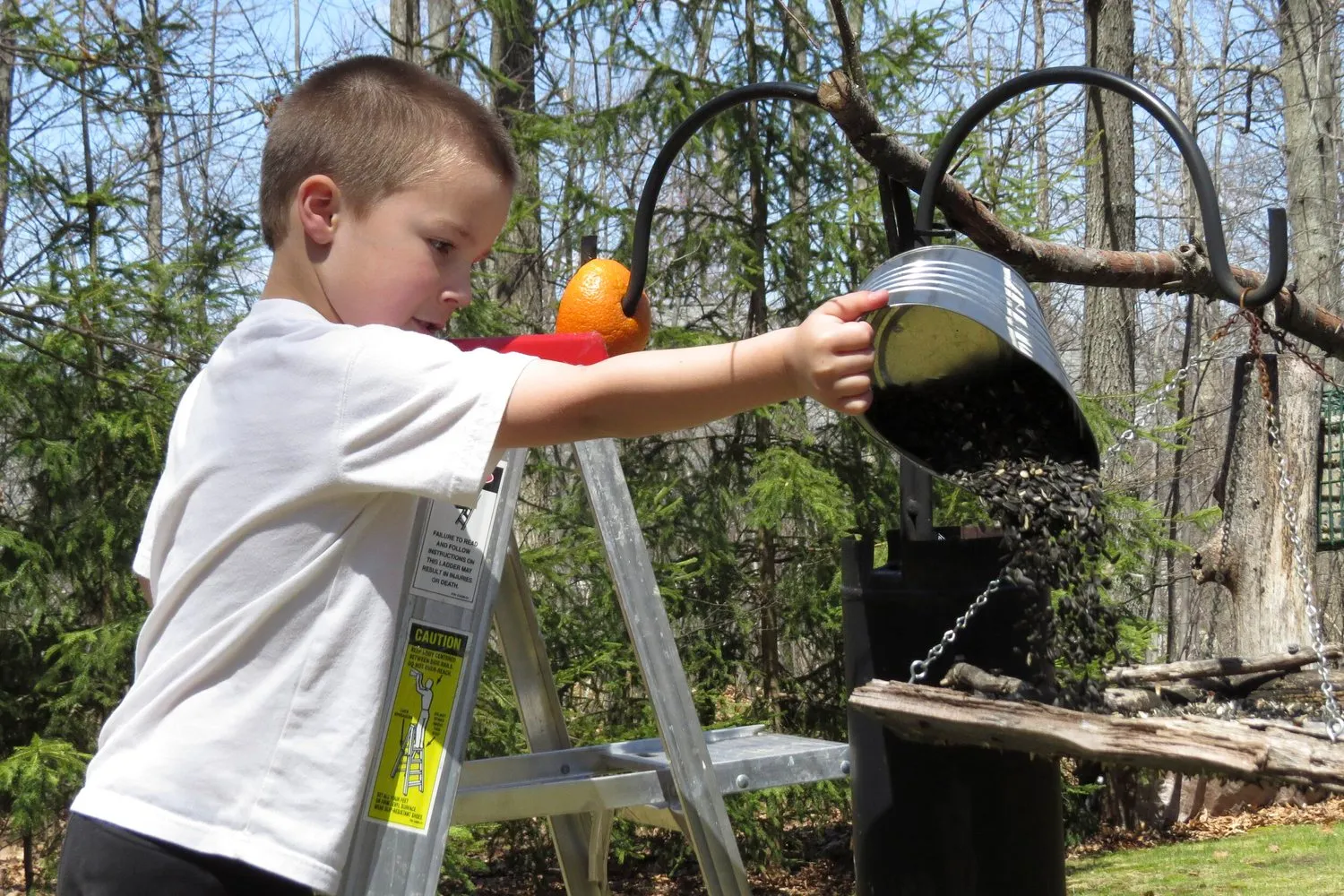 A young boy reaching up to fill a backyard bird feeder.